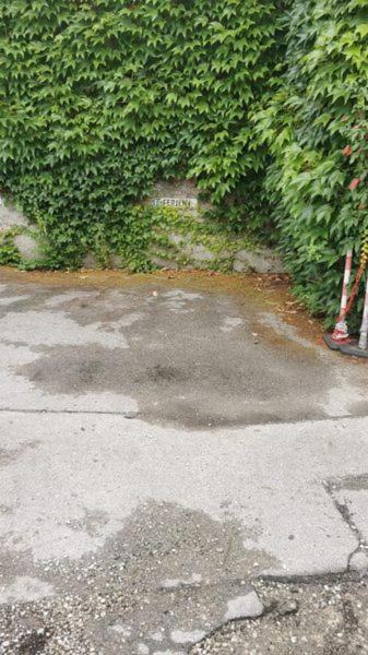 Villa Max Berchtesgaden Exteriér fotografie
